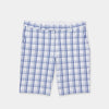 White/Blue Check