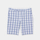 White/Blue Check
