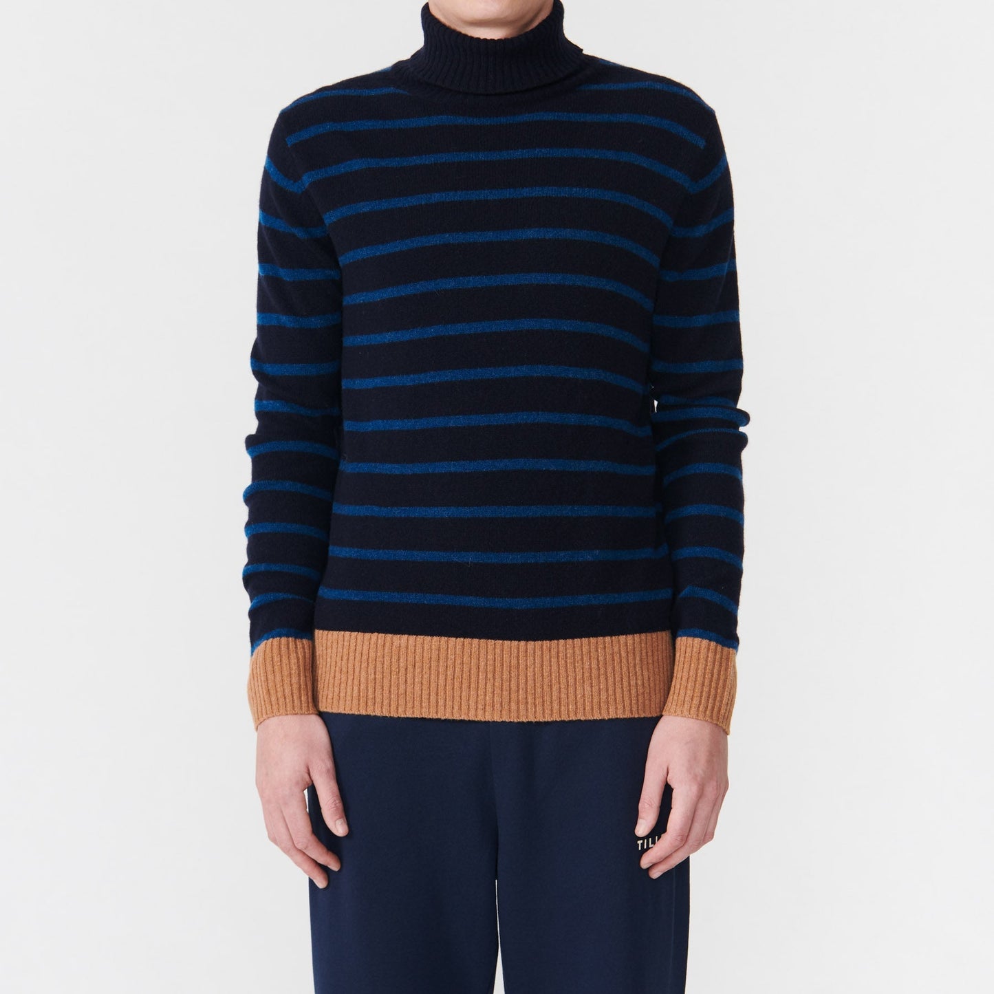 Tilley Stripe Turtleneck